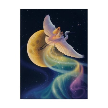 Trademark Fine Art Kirk Reinert 'Flight Of The Aurora' Canvas Art, 14x19 ALI30936-C1419GG